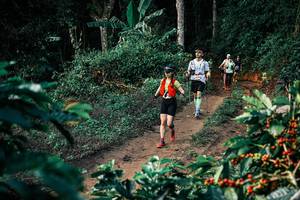 BIB: 
                            <button type="button" onclick="openModal(25823815)" class="btn btn-primary btn-sm float-right btn-popup" data-toggle="modal" data-target=".modal-high-quality">
                        <i class="fas fa-shopping-cart"></i> Add to Cart
                    </button>
                                            <button type="button" onclick="isThisMe(25823815, true)" class="btn btn-success btn-sm float-right btn-popup btn-isme hidden" data-toggle="tooltip" data-placement="bottom" title="นี่คือรูปของคุณใช่ไหม คลิกที่นี่เพื่อเอาเข้าอัลบั้ม">
                        <i class="fas fa-plus"></i> Add to album
                    </button>
                    <button type="button" onclick="isThisMe(25823815, false)" class="btn btn-warning btn-sm float-right btn-popup btn-isnotme hidden">
                        <i class="fas fa-ban"></i> Remove from album
                    </button>